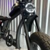 E-BIKE Mango Steen - Image 21