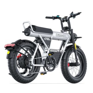 COSWHEEL CT20s – Bicicleta Elétrica 1500W Premium