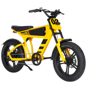 Bicicleta elétrica Mango Steen FT03 com 1000w e 18ah a 48v