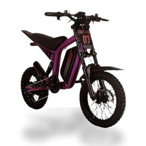 Mangosteen FT-07 Mini – Dirt Bike Elétrica Compacta 1000W Sem CNH